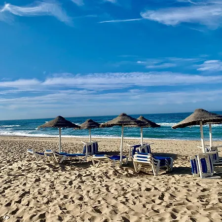 公寓 Tu Casa En Primera Linea De Playa De 马尔韦利亚